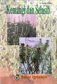 Image of Kemangi dan Selasih